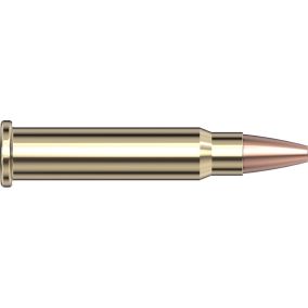 Cartouches 17 HMR® 20 gr HP XTP® x 50 Hornady