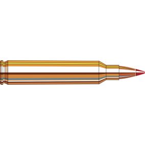 Cartouches 204 Ruger 32 gr V-MAX® Superformance x 20 Hornady