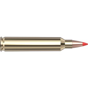 Cartouches 204 Ruger 40 gr V-MAX® Superformance x 20 Hornady