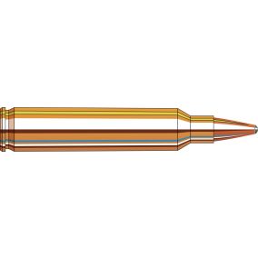 Cartouches 204 Ruger 45 gr SP x 20 Hornady