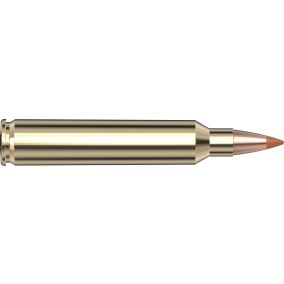 Cartouches 204 Ruger 24 gr NTX® Superformance® Varmint x 20 Hornady