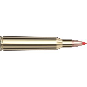 Cartouches 220 Swift 55 gr V-MAX® x 20 Hornady 