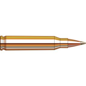 Cartouches 223 Rem 35 gr NTX® Superformance® x 20 Hornady