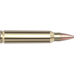 Cartouches 223 Rem 50 gr. CX™ Superformance® x 20 Hornady - sans plombs