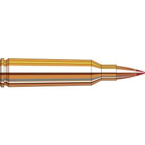 Cartouches 22-250 Rem 50 gr V-MAX® x 20 Hornady