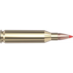 Cartouches 243 Win 58 gr V-MAX® Superformance® x 20 Hornady