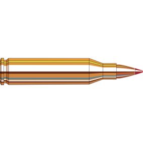 Cartouches 243 Win 58 gr V-MAX® Superformance® x 20 Hornady