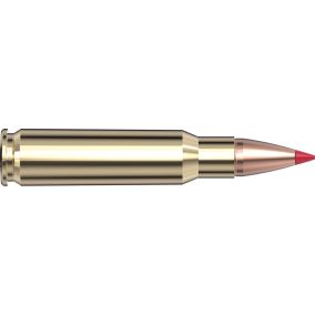Cartouches 6.8mm Rem SPC 100 gr. CX™ Custom x 20 Hornady
