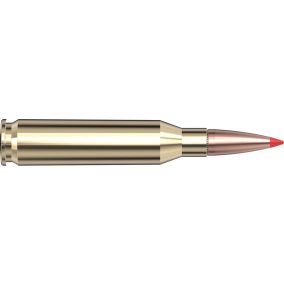 Cartouches 260 Rem 129 gr SST® Superformance® x 20 Hornady
