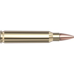 Cartouches 223 Remington 55 gr HP Match Frontier® x 20 Hornady