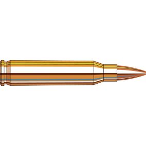 Cartouches 223 Remington 68 gr BTHP Match Frontier® x 20 Hornady