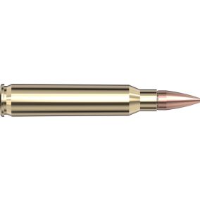 Cartouches 5.56 NATO 75 gr BTHP Match Frontier® x 20 Hornady